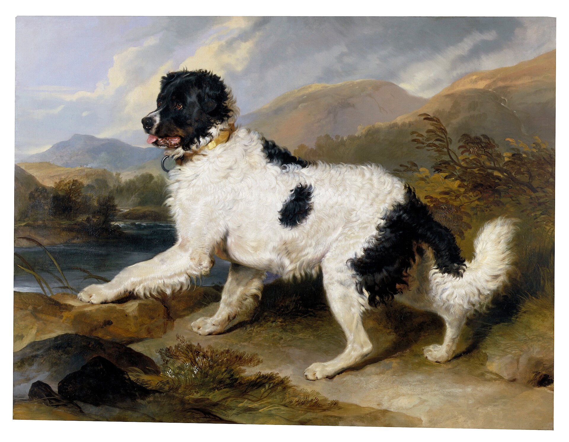 Schilderij 'Lion: A Newfoundland Dog' van Sir Edwin Landseer (1824)