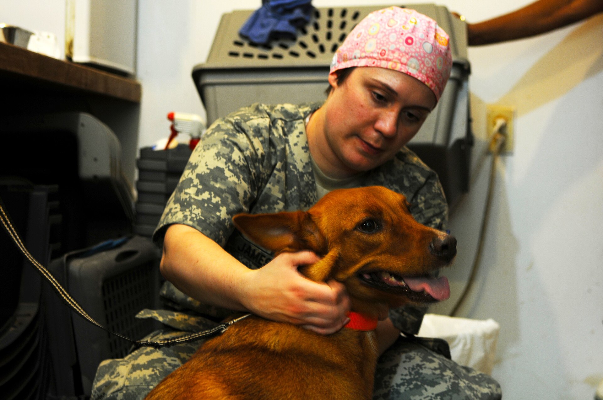 Hond bij de dierenarts in een kliniek